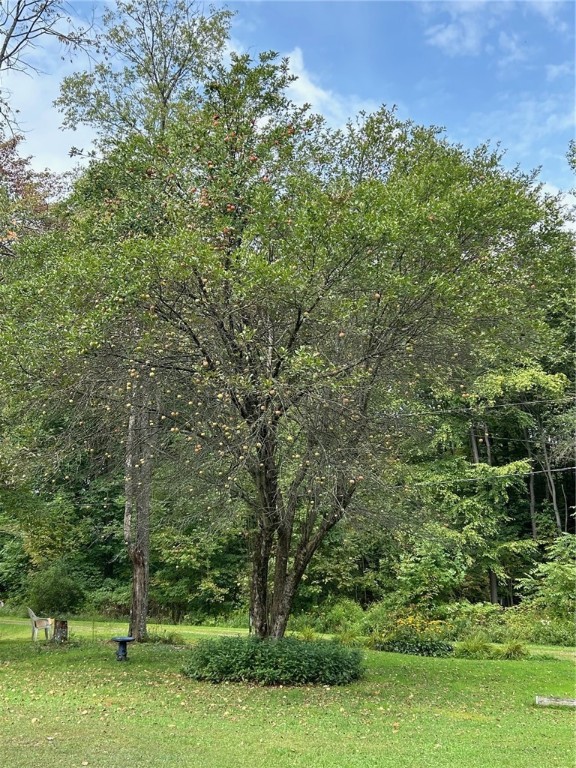 1158 Beech Ln Ln, Kane, Pennsylvania image 8