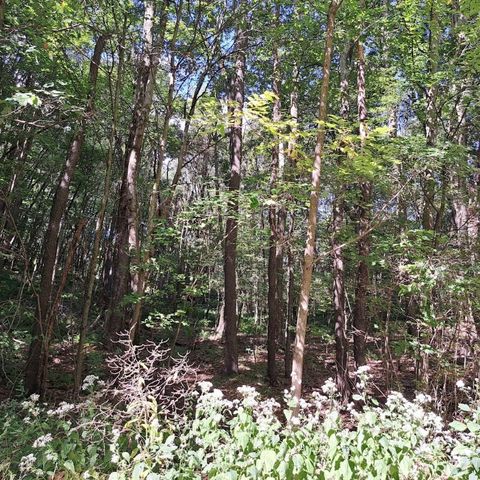 Photo of 00 Chicora Rd, Chicora, PA 16025 (MLS # 1735491)