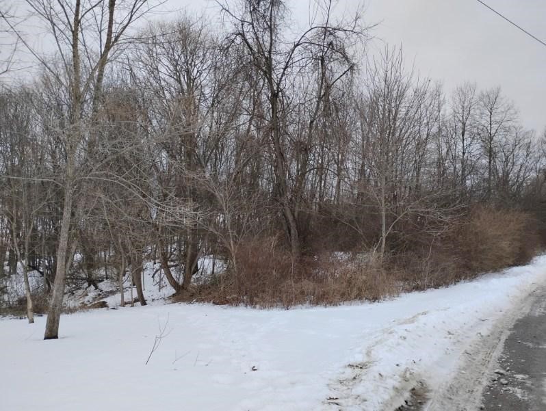 Lot 7 Mcauley Meadows Ln