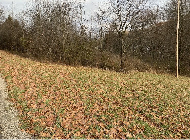 Penn Twp - But, Pennsylvania 16059, United States, ,Residential,Contingent,32925