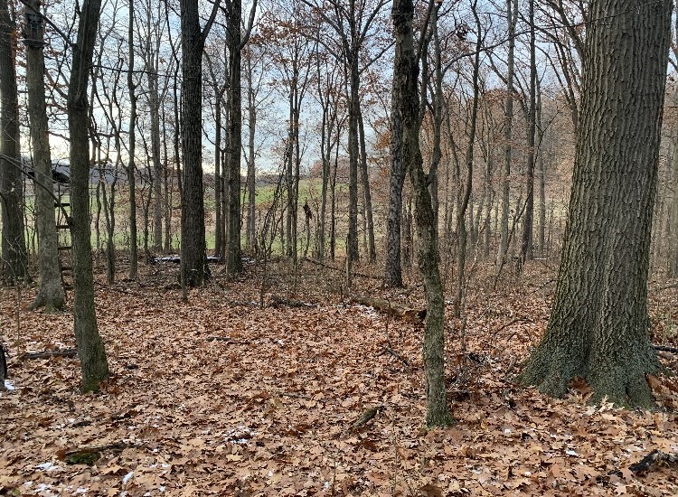 Penn Twp - But, Pennsylvania 16059, United States, ,Residential,Contingent,32925