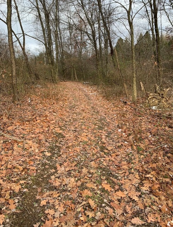 Penn Twp - But, Pennsylvania 16059, United States, ,Residential,Contingent,32925