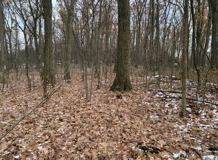 Penn Twp - But, Pennsylvania 16059, United States, ,Residential,Contingent,32925