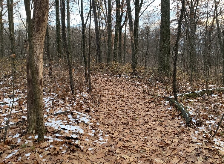 Penn Twp - But, Pennsylvania 16059, United States, ,Residential,Contingent,32925