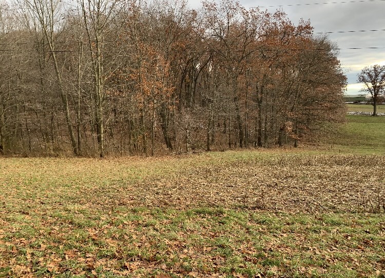 Penn Twp - But, Pennsylvania 16059, United States, ,Residential,Contingent,32925