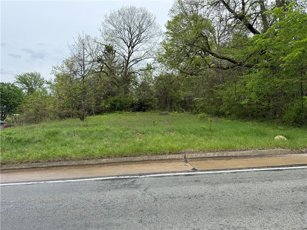 504 Mount Jackson Rd