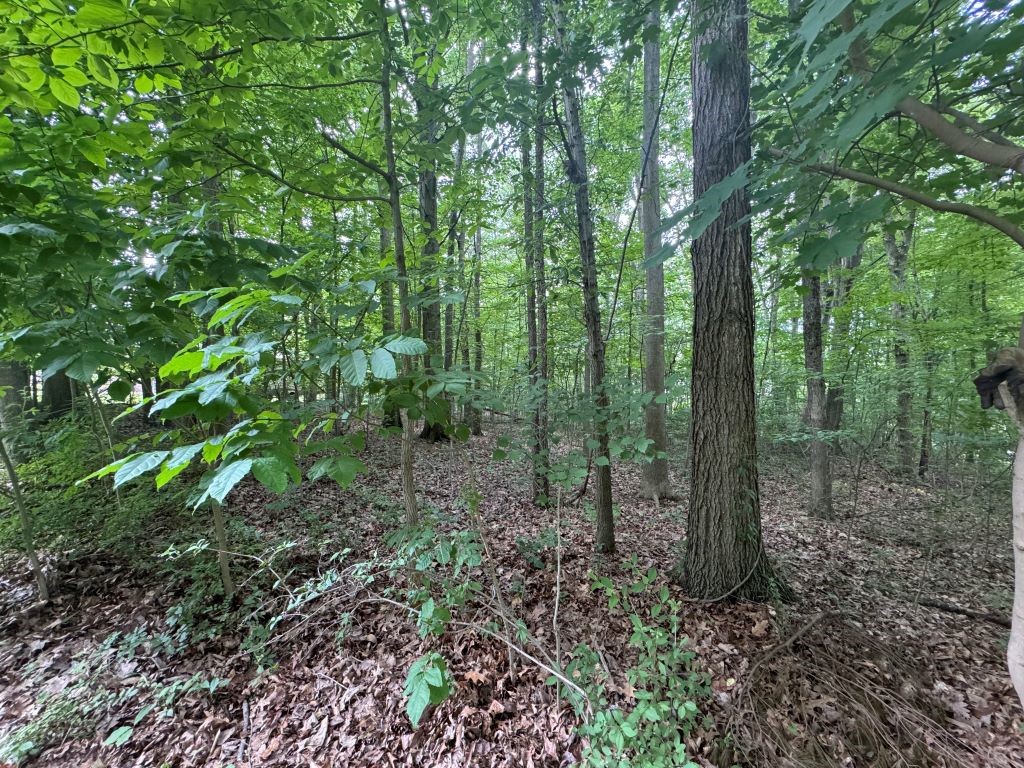 Pulaski Twp, Pennsylvania 16143, United States, ,Residential,Active,225071