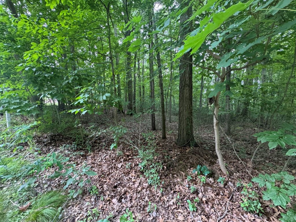 Pulaski Twp, Pennsylvania 16143, United States, ,Residential,Active,225071