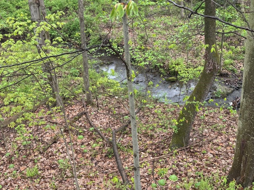 Pulaski Twp, Pennsylvania 16143, United States, ,Residential,Active,225071