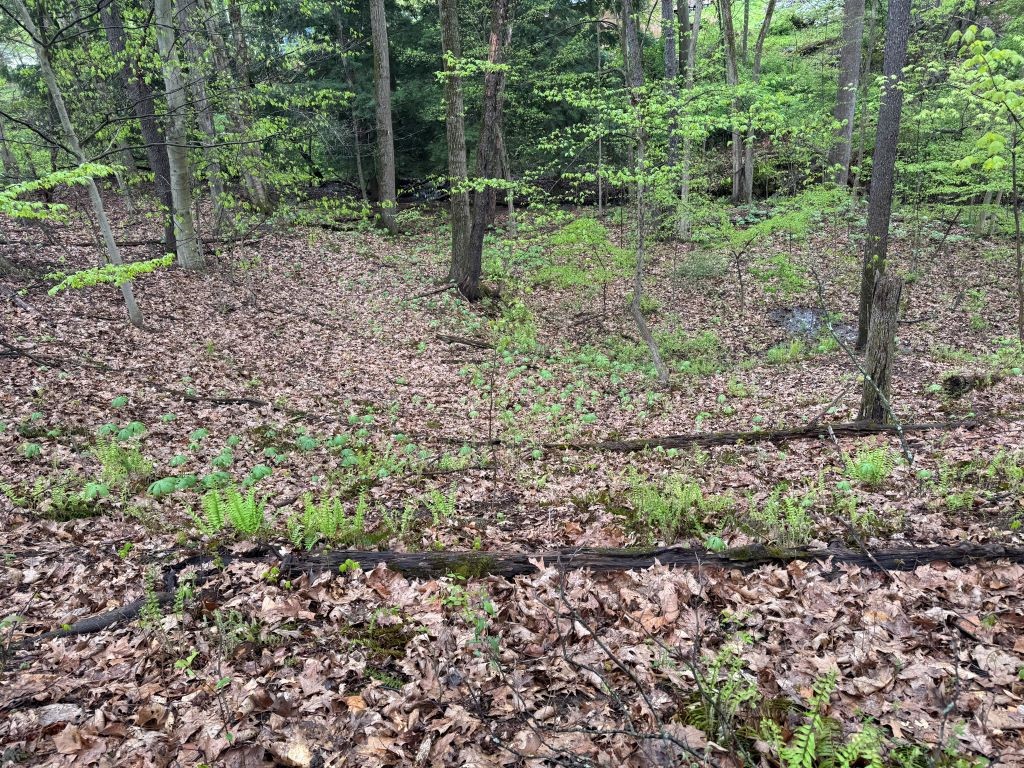 Pulaski Twp, Pennsylvania 16143, United States, ,Residential,Active,225071