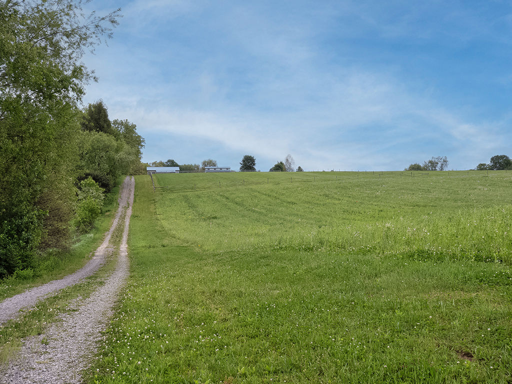 2412 Old Route 422 East E