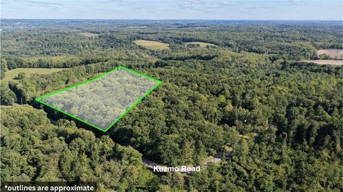 Photo of 225 Kuzma Rd, West Sunbury, PA 16061 (MLS # 1740122)