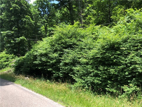 Photo of 224-225 Old Mill Road, Ohiopyle, PA 15470 (MLS # 1762848)
