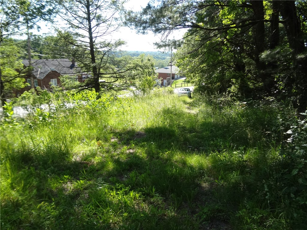 908 Youngstown Ridge Road