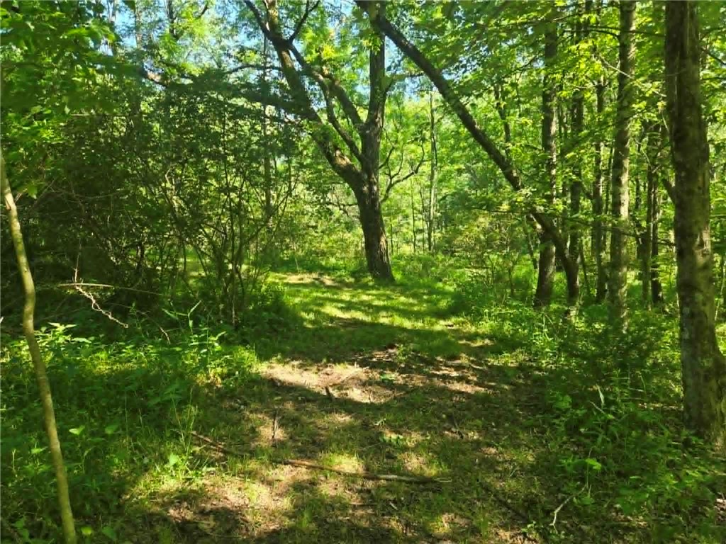 00 Hickory Rd