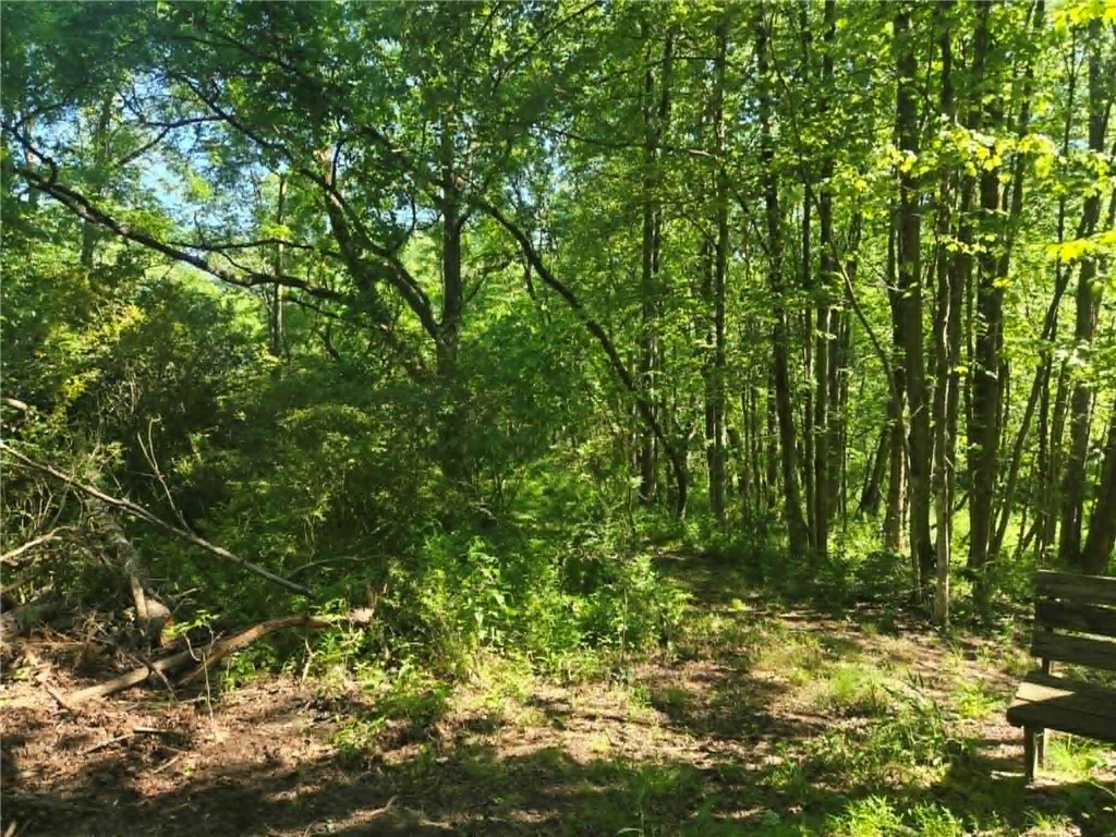 00 Hickory Rd