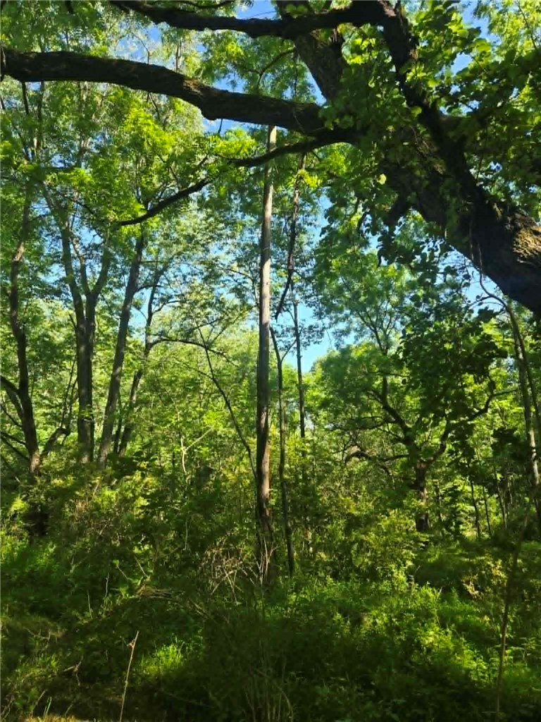 00 Hickory Rd