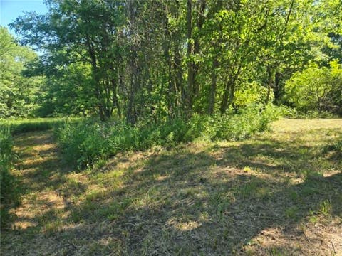 Photo of 00 Hickory Rd, Petrolia, PA 16050 (MLS # 1758719)