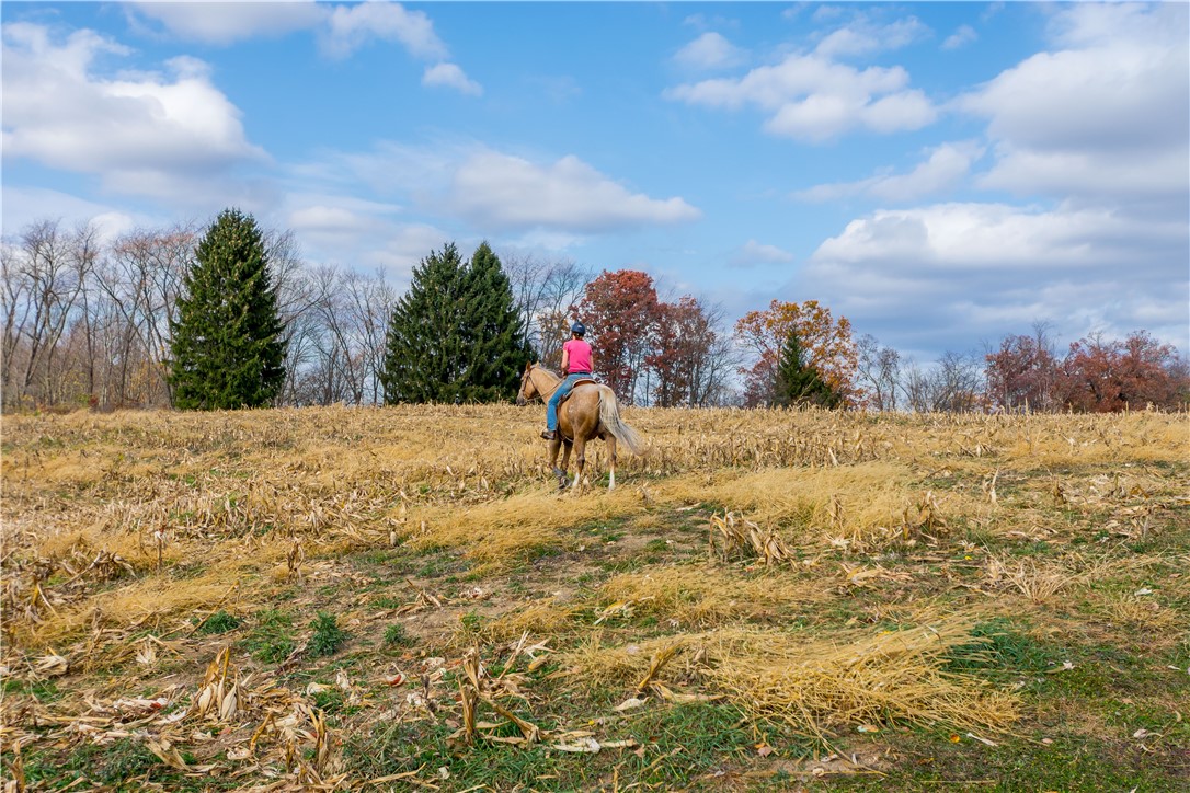 Forrest Dr, Franklin, Pennsylvania image 6