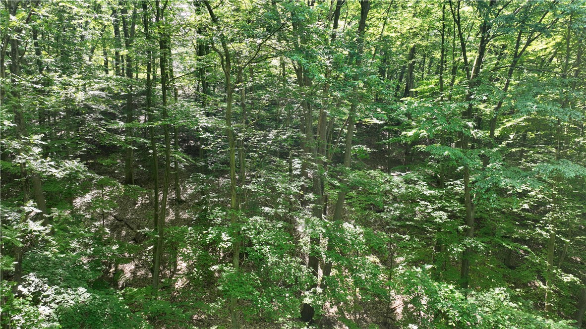 Ross Twp, Pennsylvania 15229, United States, ,Residential,Active,41430