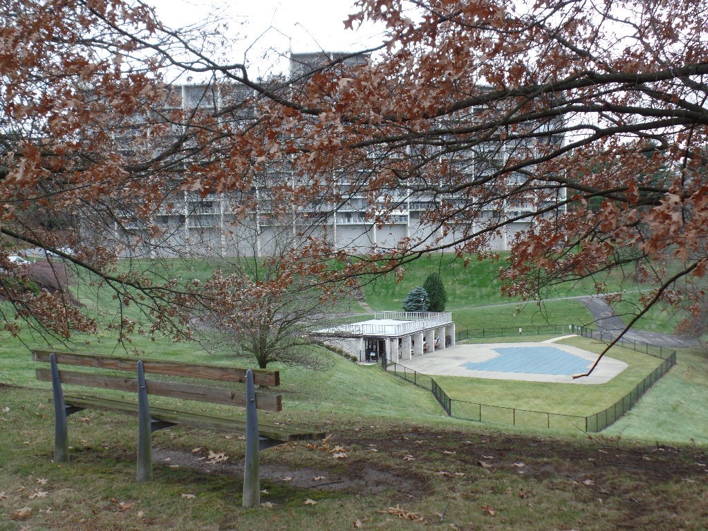 1150 Bower Hill Rd. Rd #501B, Mt. Lebanon, Kentucky image 29