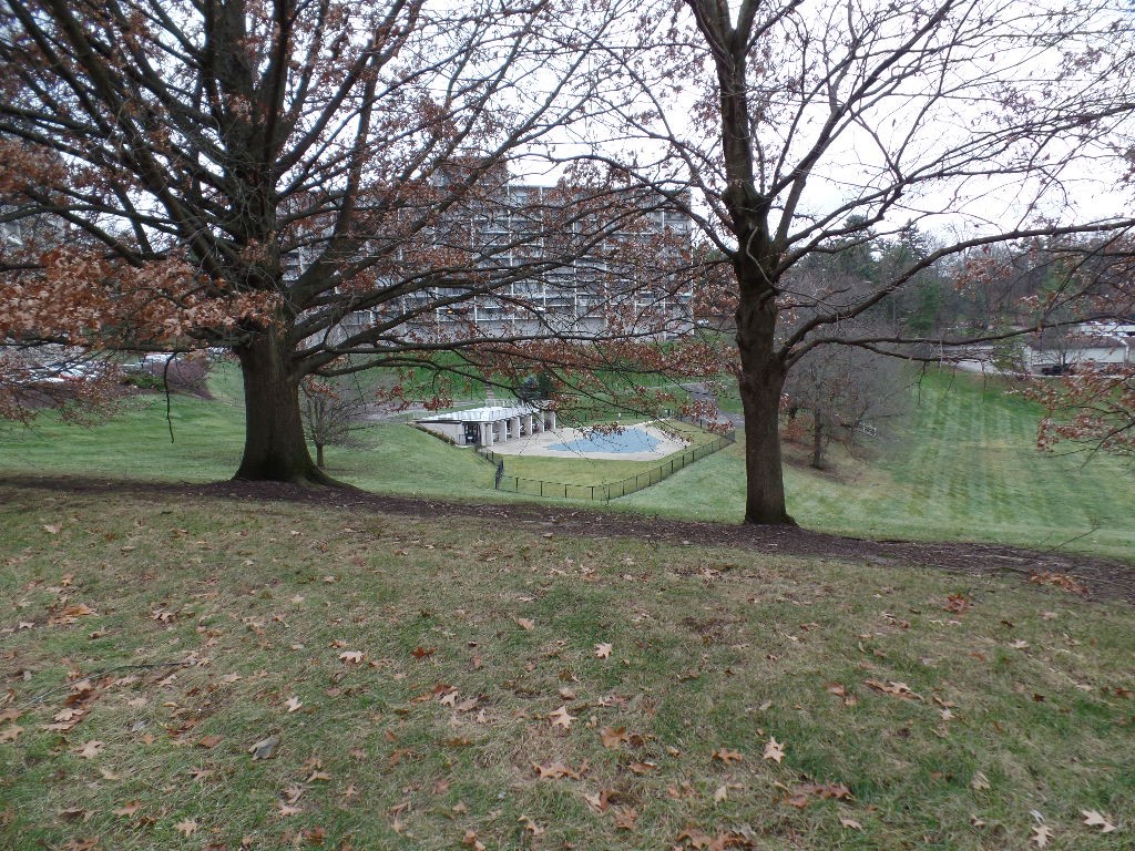1150 Bower Hill Rd. Rd #501B, Mt. Lebanon, Kentucky image 32