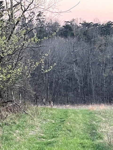 0 Monaca Rd