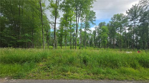 Photo for 17 Ball Hill Rd