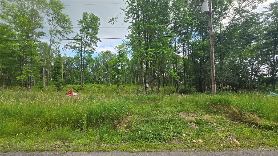 17 Ball Hill Rd