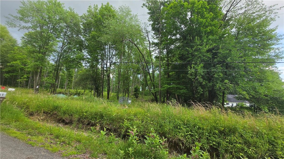 17 Ball Hill Rd