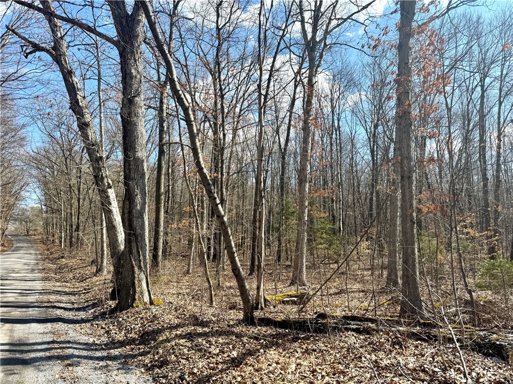 Allegheny Twp - But, Pennsylvania 16049, United States, ,Residential,Pending,84090