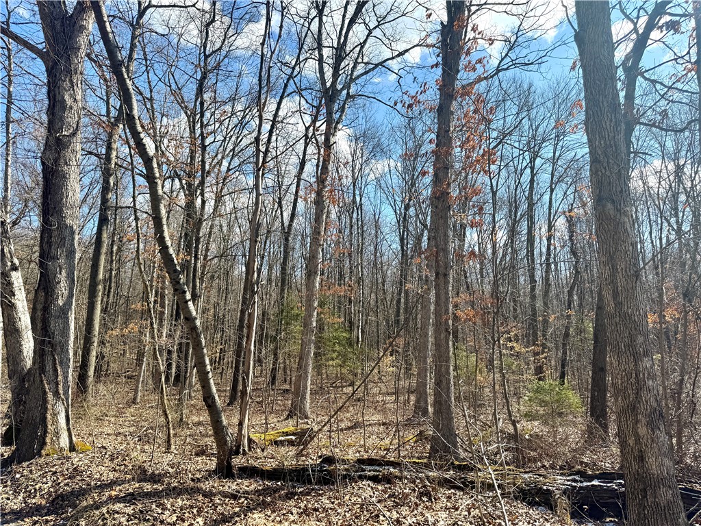 Allegheny Twp - But, Pennsylvania 16049, United States, ,Residential,Pending,84090