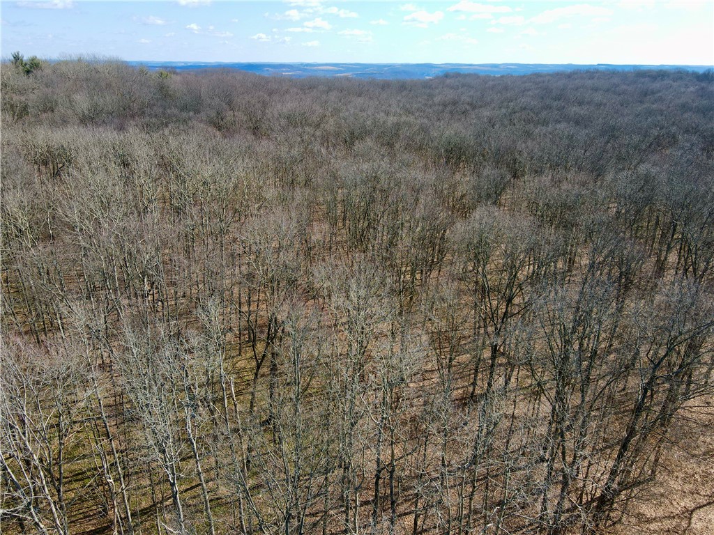 Allegheny Twp - But, Pennsylvania 16049, United States, ,Residential,Pending,84090