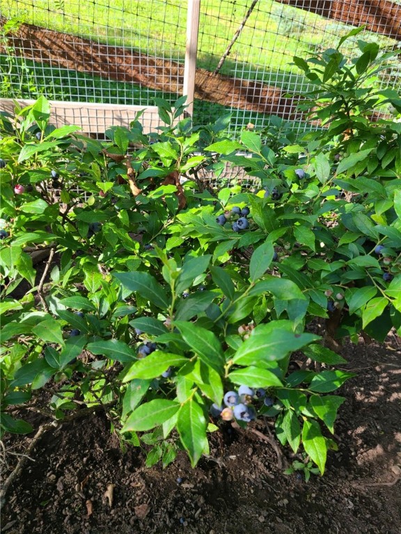 Marshall, Pennsylvania 15090, United States, 4 Bedrooms Bedrooms, ,3 BathroomsBathrooms,Residential,Pending,20357