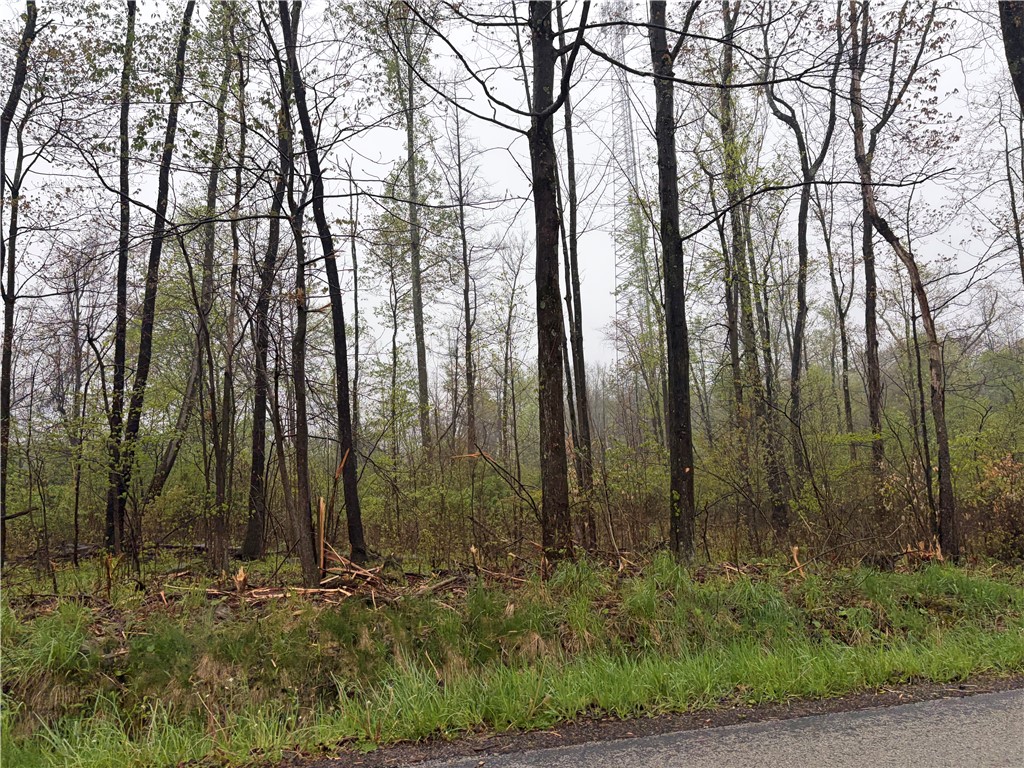 0000 Glen School Rd