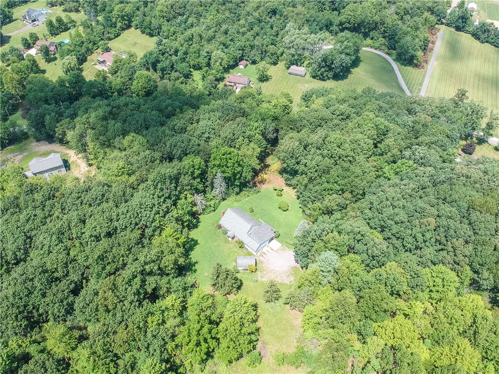 9650 Goehring Road