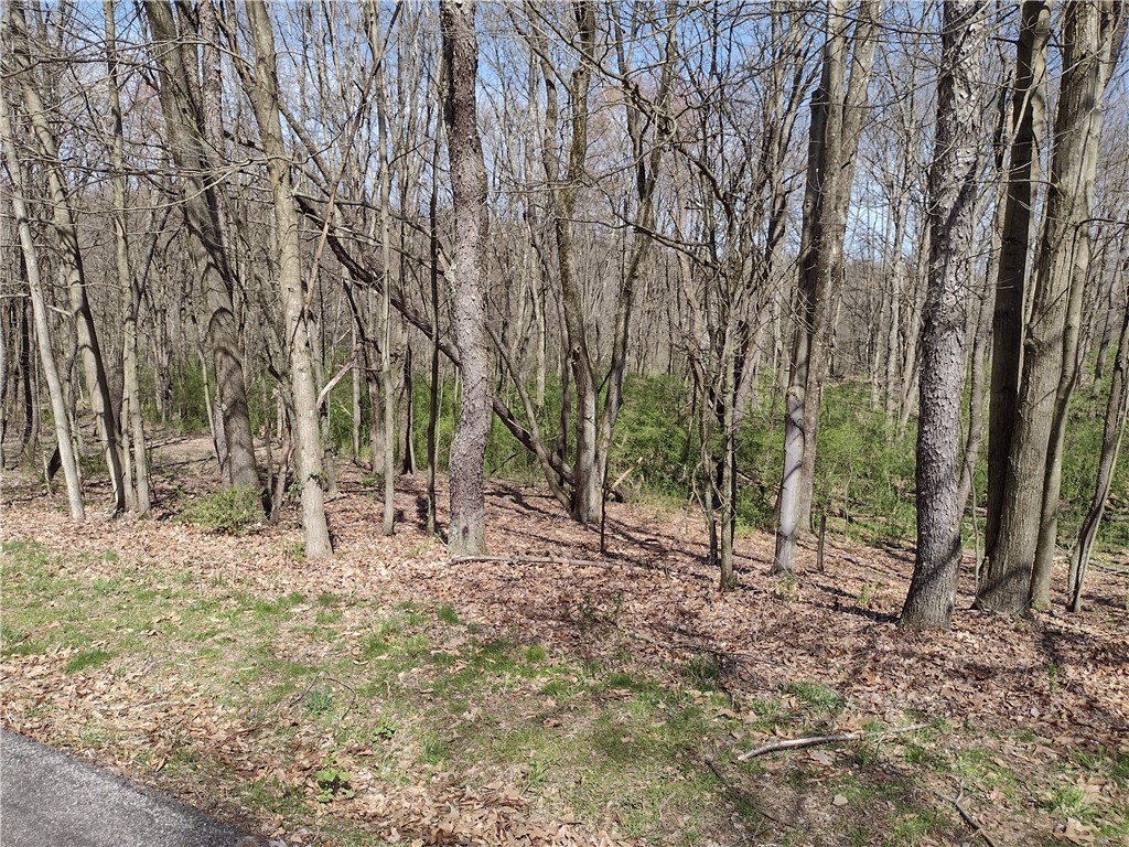00 Tenacity Trail off Wright Rd