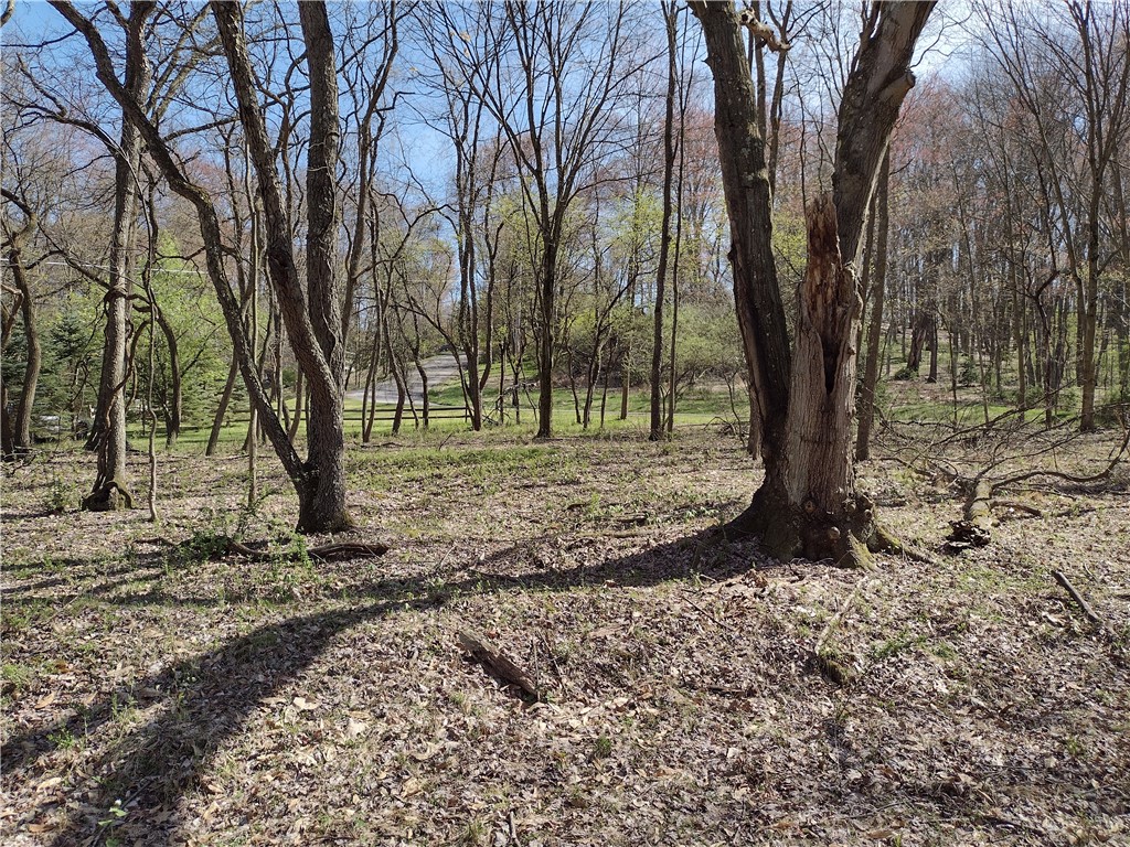 00 Tenacity Trail off Wright Rd