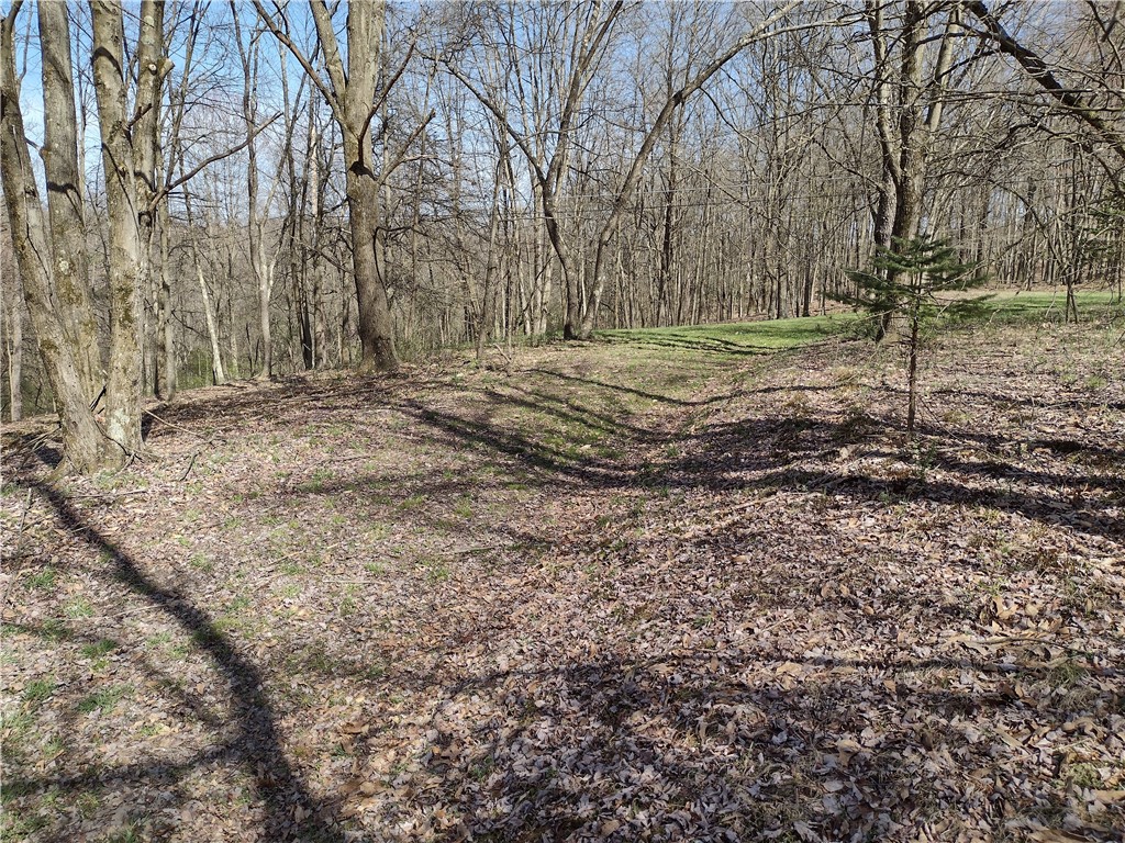 00 Tenacity Trail off Wright Rd