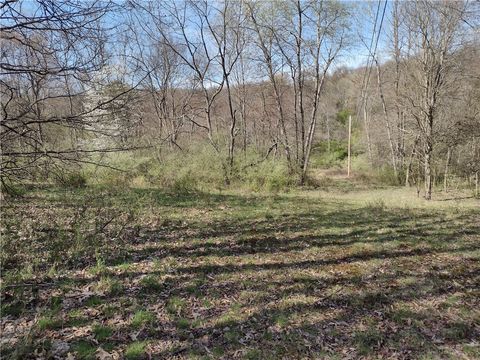 00 Tenacity Trail off Wright Rd Adams Twp PA 16046