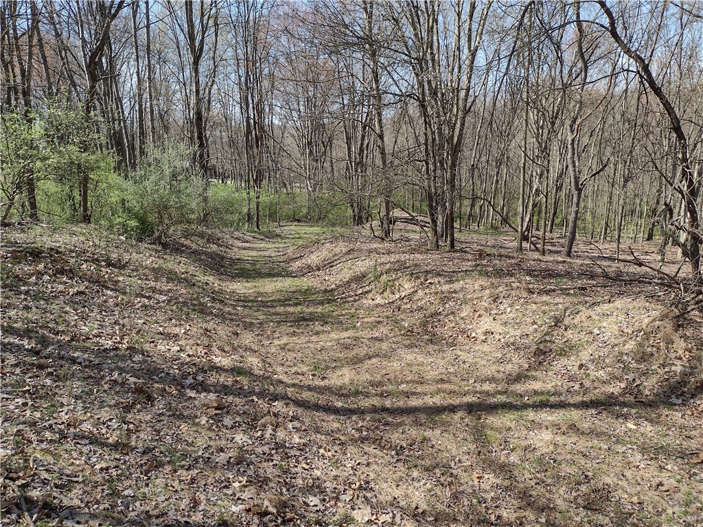 00 Tenacity Trail off Wright Rd