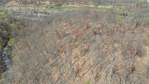 Vacant Land For Sale - 550 Division Lane Ln<br/> Beaver County, Vanport, PA 15009