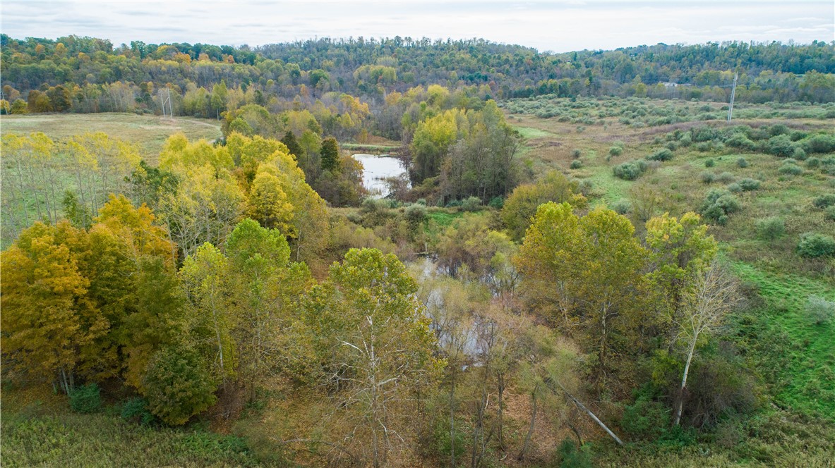 750 North Branch Road Ln, North Fayette, Kentucky image 7