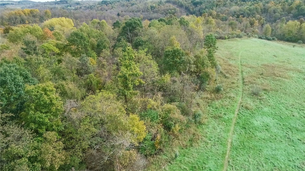 750 North Branch Road Ln, North Fayette, Kentucky image 13