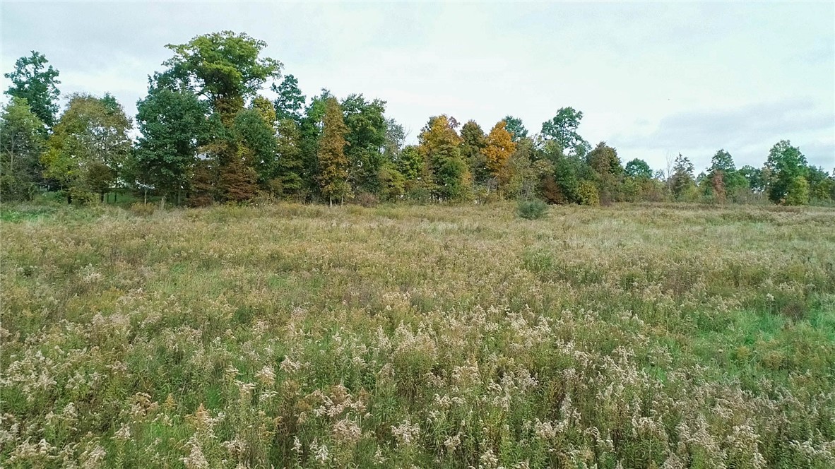 750 North Branch Road Ln, North Fayette, Kentucky image 17