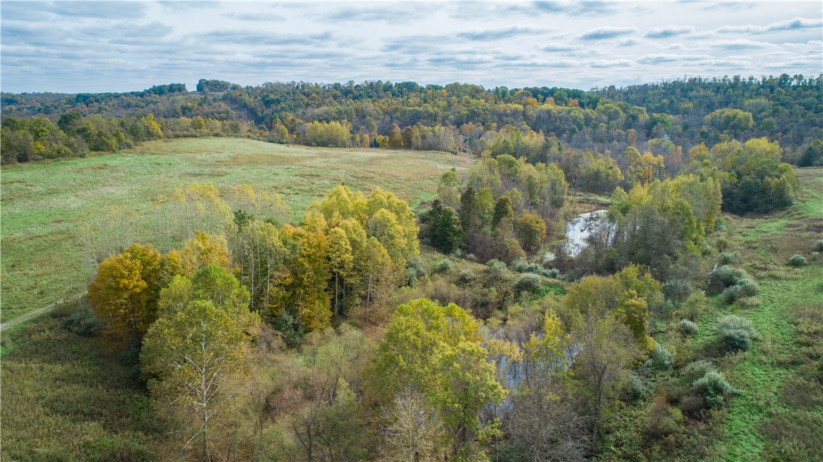 750 North Branch Road Ln, North Fayette, Kentucky image 4
