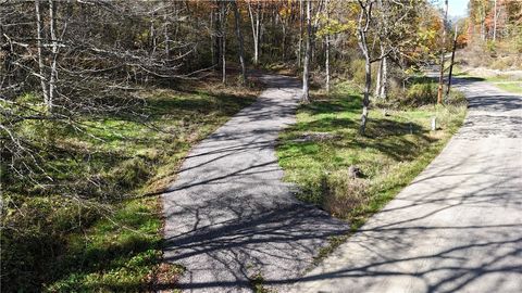 Vacant Land For Sale - 100 Jersey Hollow Rd<br/> Jefferson County, Lower Turkeyfoot Twp, PA 15424