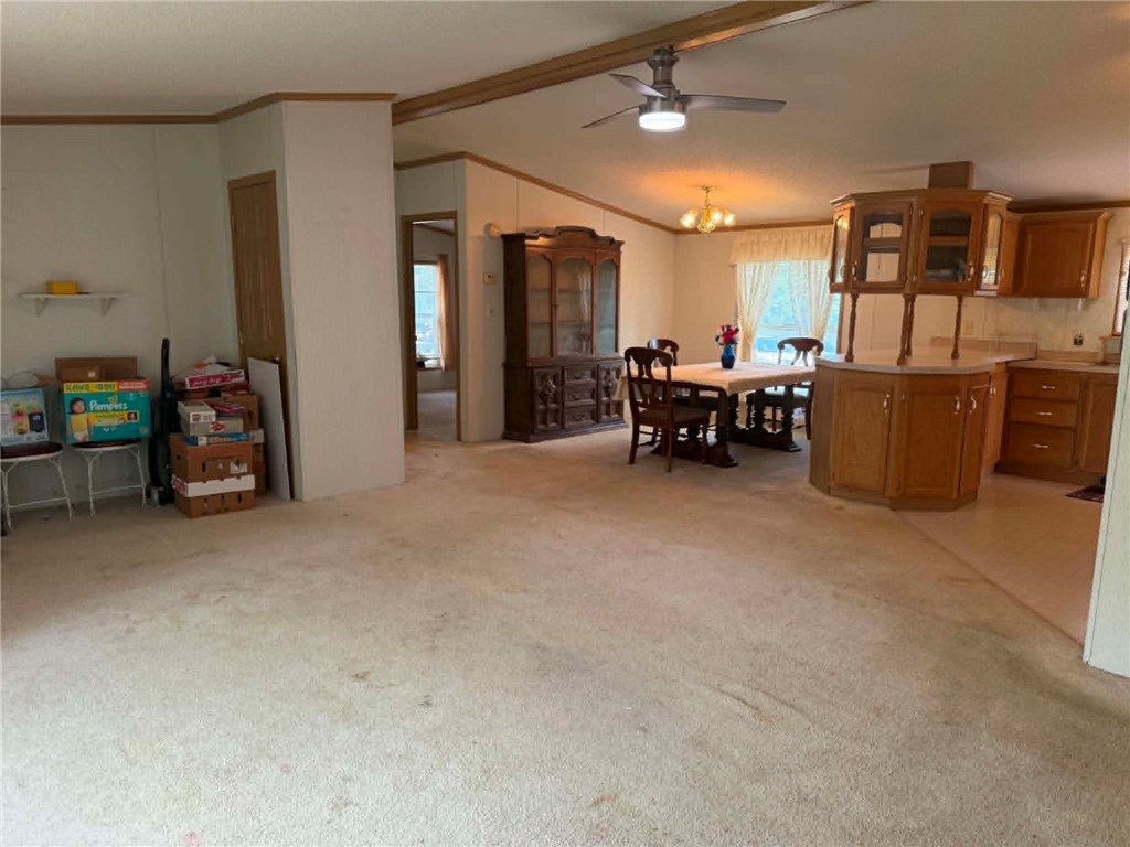 127 Mary Lynn Ln