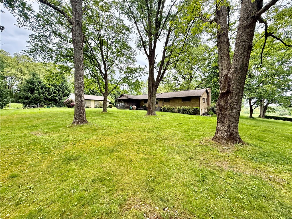 320 Saxonburg Rd