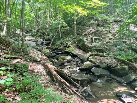Photo for Lot 242 Old River Road